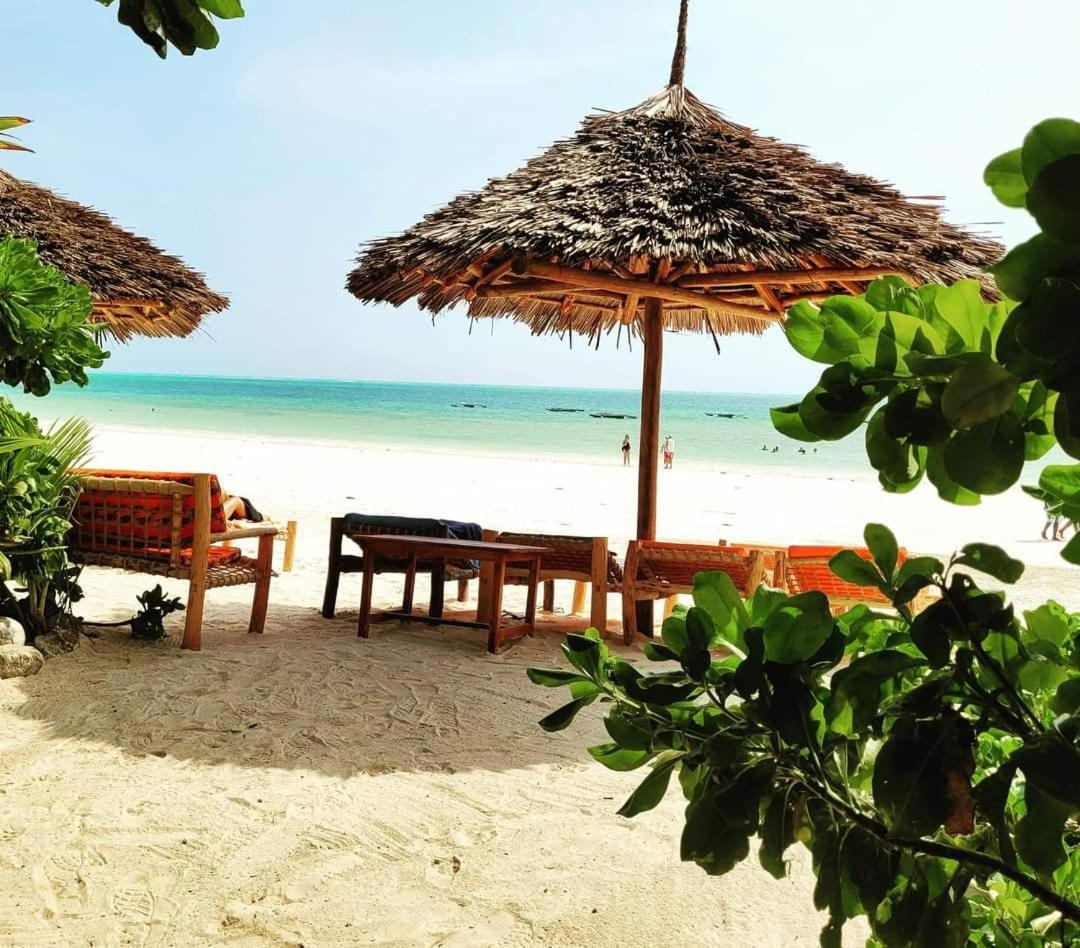 Sipano Beach Lodge Kiwengwa Ківенґва Екстер'єр фото