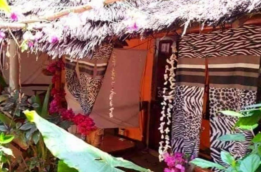 Sipano Beach Lodge Kiwengwa Ківенґва Екстер'єр фото