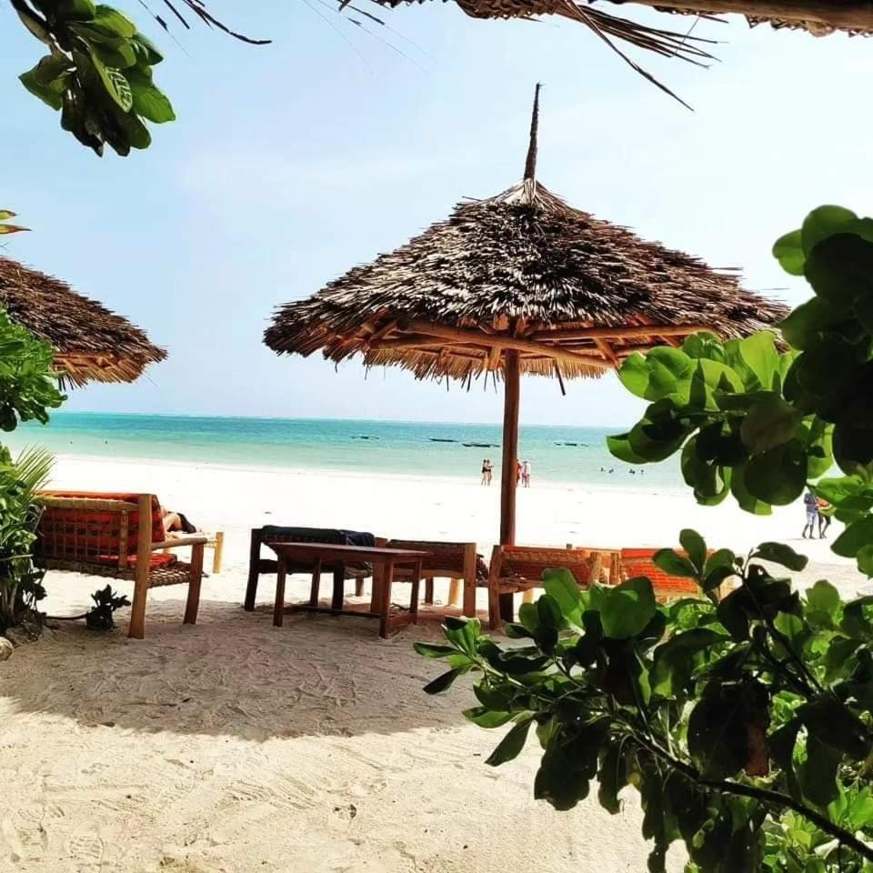 Sipano Beach Lodge Kiwengwa Ківенґва Екстер'єр фото
