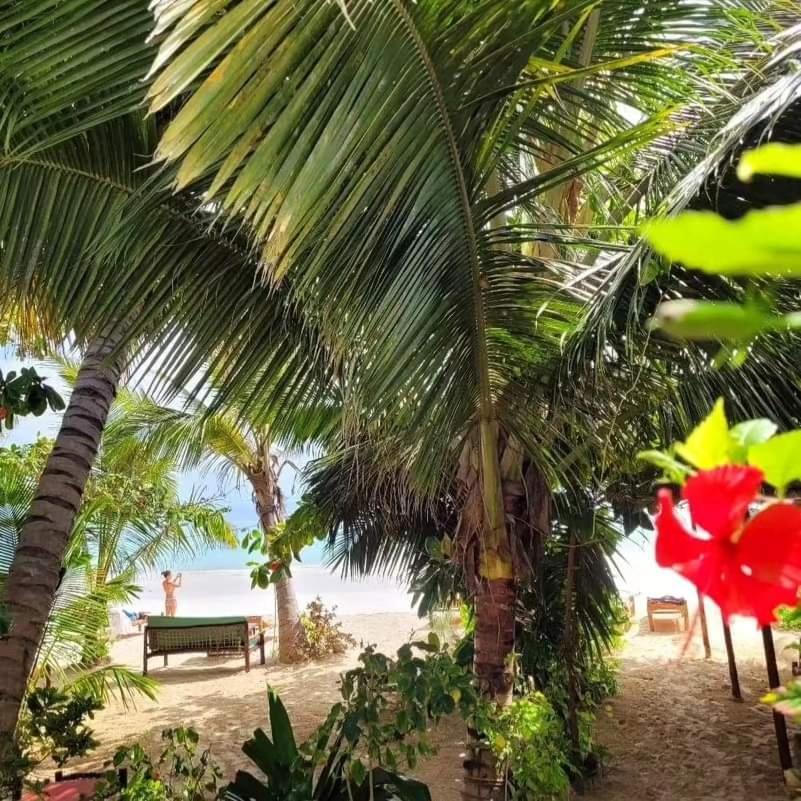 Sipano Beach Lodge Kiwengwa Ківенґва Екстер'єр фото